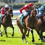 bet on australian horse racing